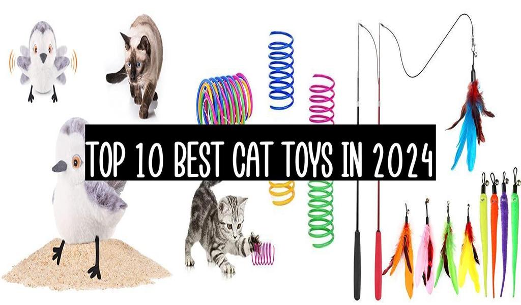 Top 10 Best Cat Toys In 2024