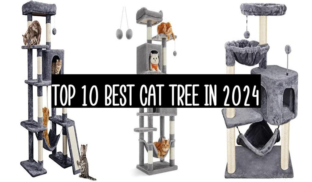 Top 10 Best Cat Tree In 2024