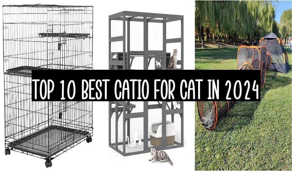 Top 10 Best Catio For Cat In 2024