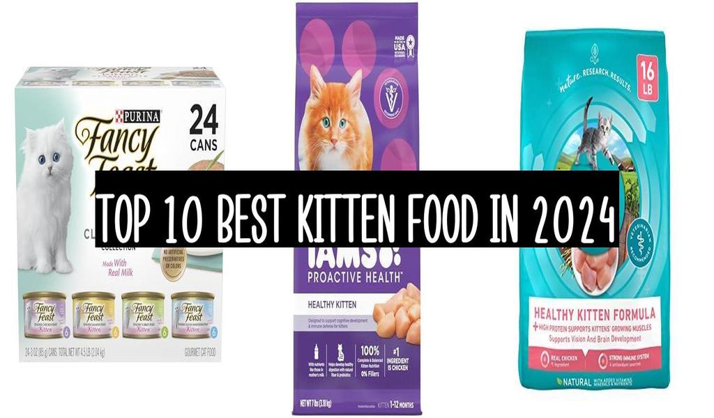 Top 10 Best Kitten Food In 2024