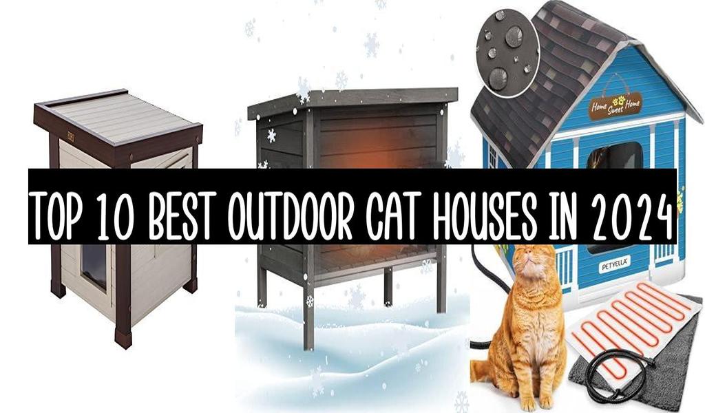 Top 10 Best Outdoor Cat Houses In 2024