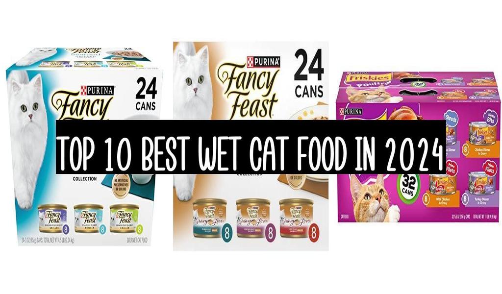 Top 10 Best Wet Cat Food In 2024