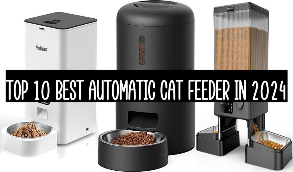 Top 10 Best Automatic Cat Feeder In 2024
