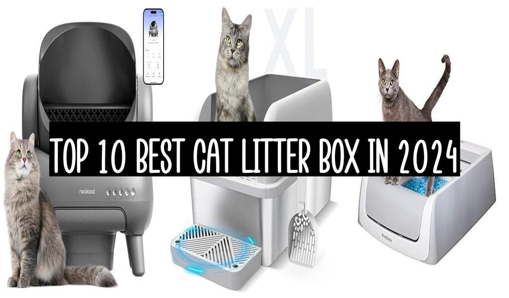 Top 10 Best Cat Litter Box In 2024